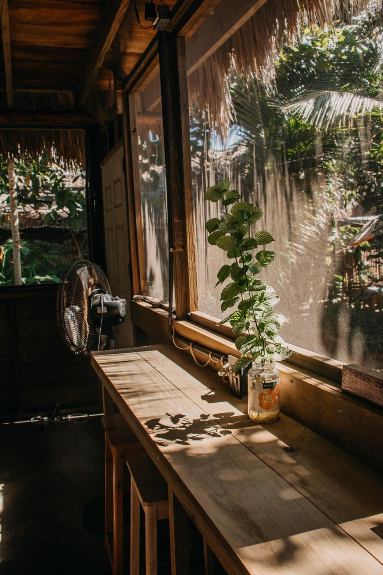 Casa Austera Villa El Paredón Buena Vista Eksteriør billede
