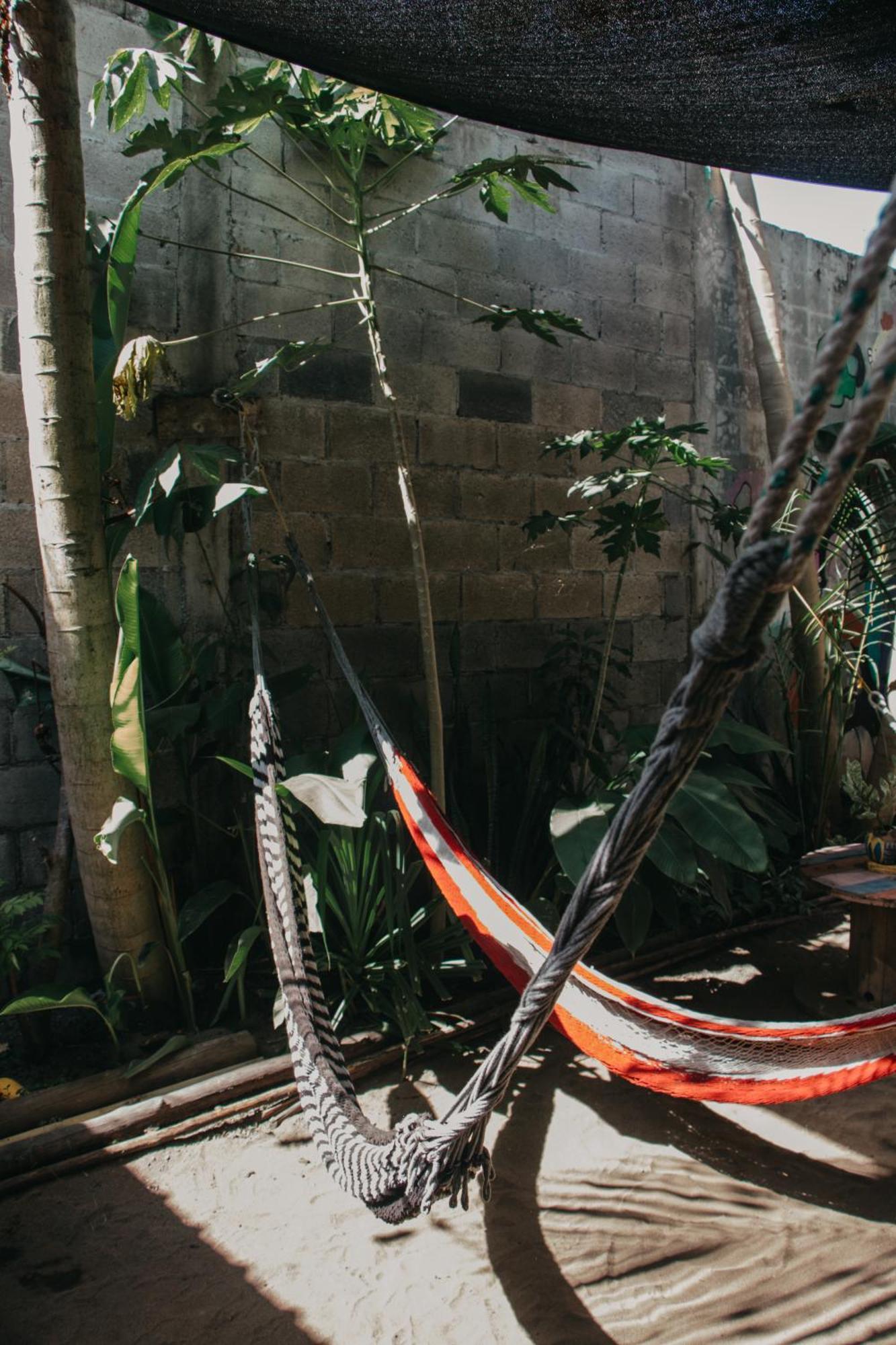 Casa Austera Villa El Paredón Buena Vista Eksteriør billede