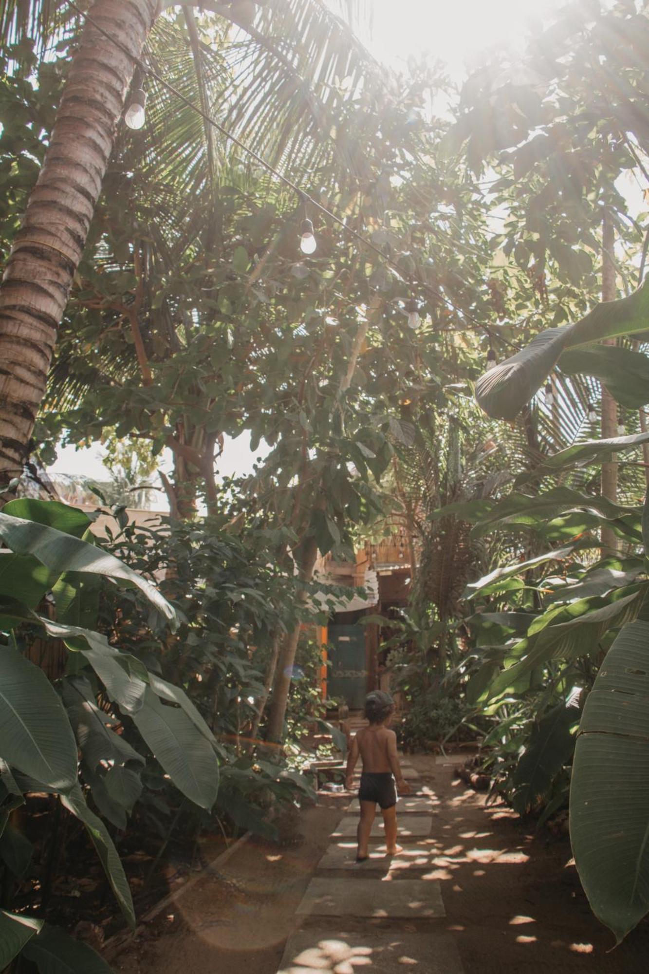 Casa Austera Villa El Paredón Buena Vista Eksteriør billede